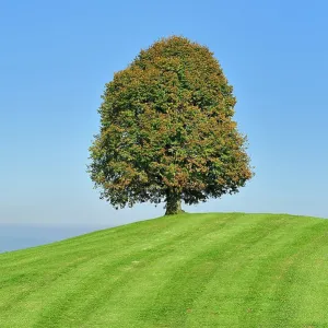 Prints of Calendar Concepts - Scenics : Calendar Concepts - Scenics
